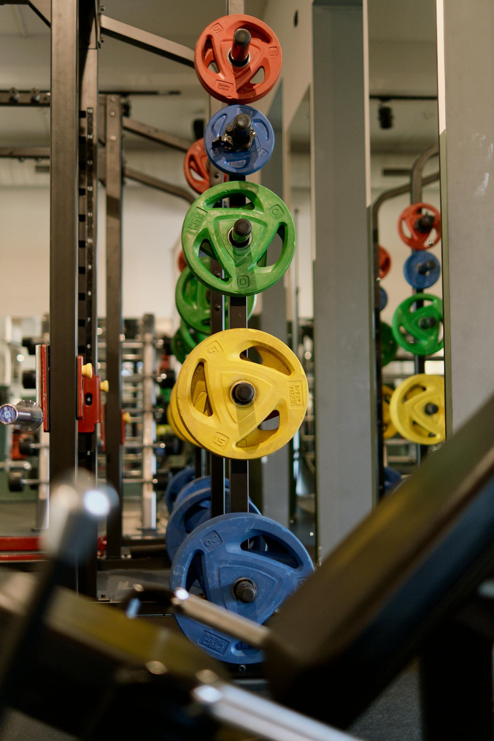 Vertical shot of colorful weight plates on rack in a gym, emphasizing fitness lifestyle.